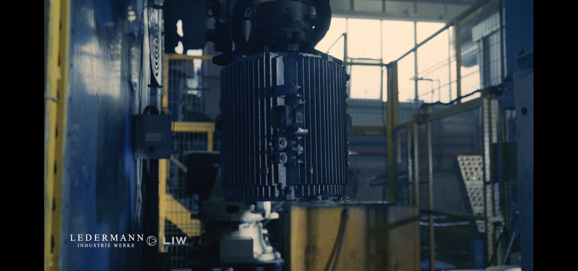 LEDERMANN industrial motor