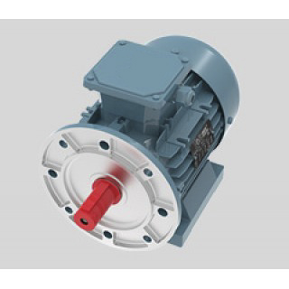 Three phase asynchronous motor